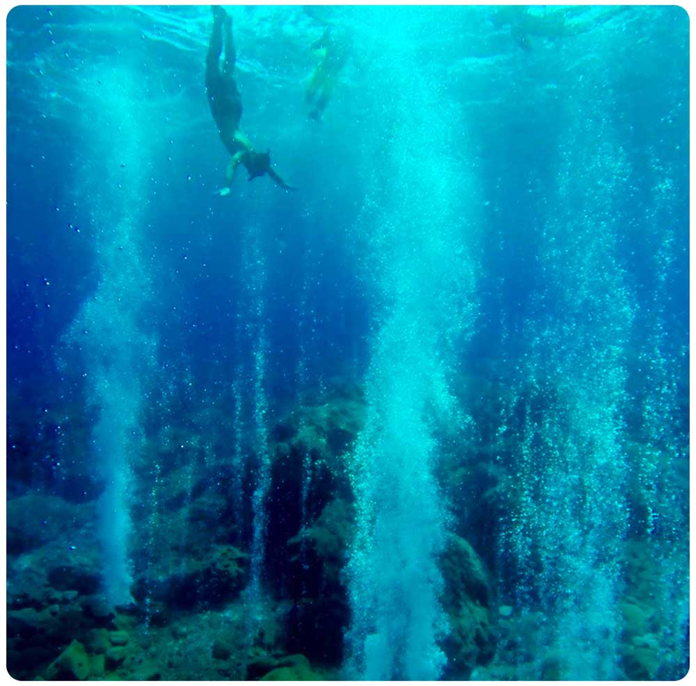 Spettacoli naturali sommersi