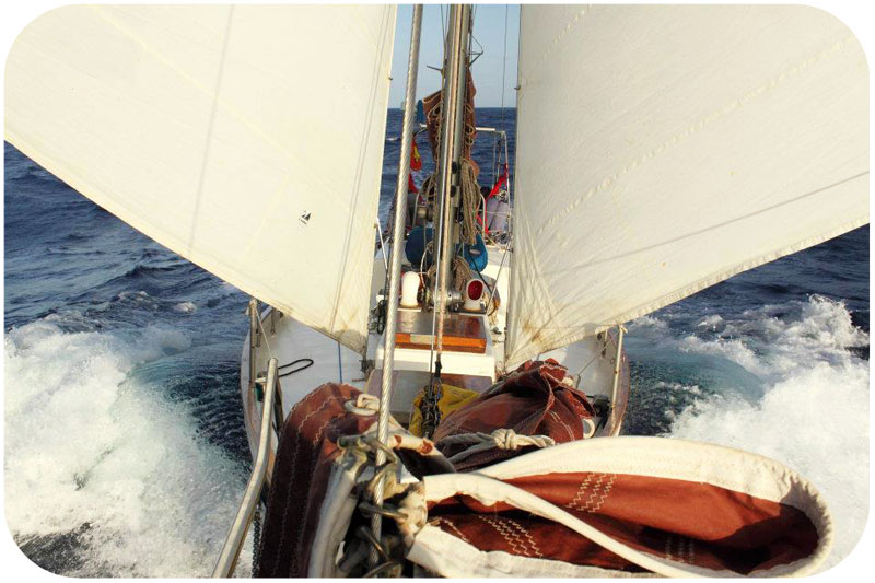 Skipper con esperienza di navigazione in Oceano Atlantico